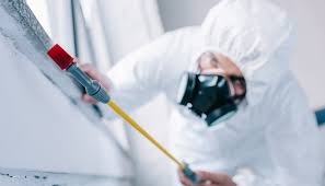 Best Pest Control for Multi-Family Homes  in Seaside Park, NJ